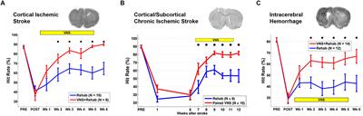 Targeted Vagus Nerve Stimulation for Rehabilitation After Stroke